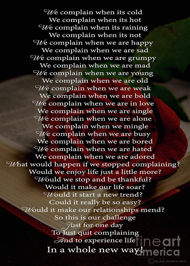 In a Whole New Way by Mechala Matthews In a Whole New Way by Mechala Matthews