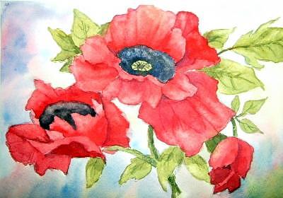 In All Their Glory Painting by Barbara Elmslie In All Their Glory Painting by Barbara Elmslie