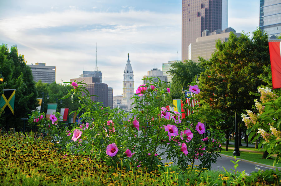 In Bloom - Philadelphia Photograph by Bill Cannon