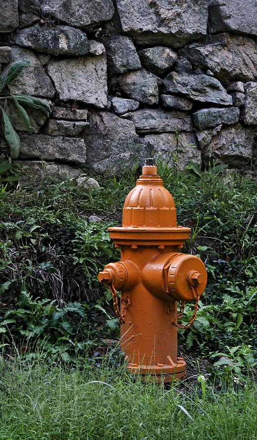 Fireplug Photograph - In Case of Fire . . . by Murray Bloom
