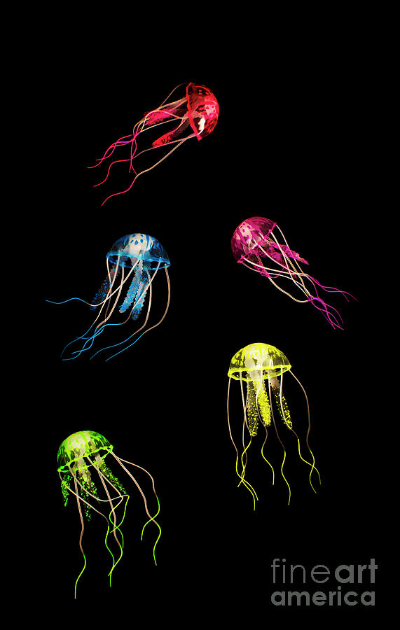 In Colours Of Swirling Jellyfishes Photograph