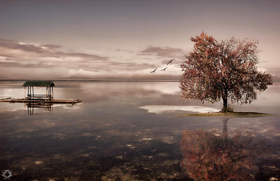 Fall Photograph - In Dreams by Lourry Legarde
