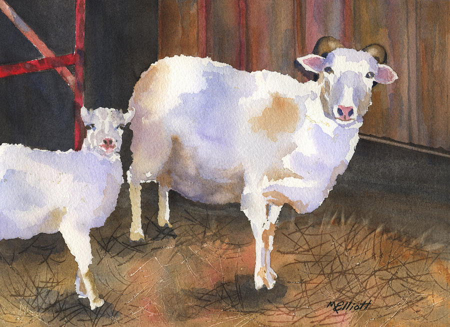 Sheep Painting - In For the Night by Marsha Elliott