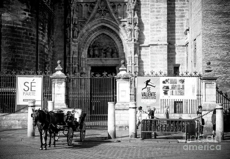In Front of Sevilla Cathedral Photograph by John Rizzuto
