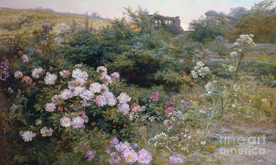 Flower Painting - In Full Bloom  by Henry Arthur Bonnefoy