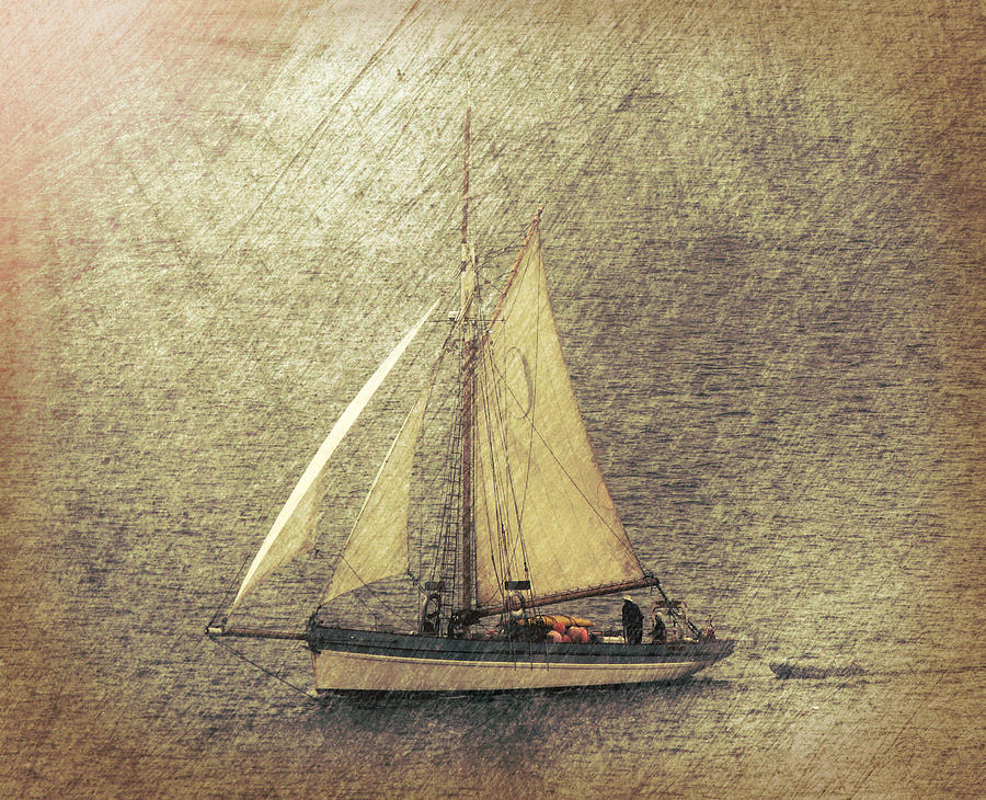 Sailing Ship Photograph - In Full Sail by Lynn Bolt
