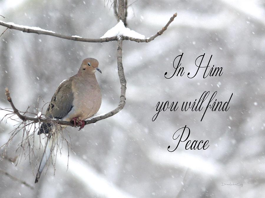 In Him You Will Find Peace Photograph by Diane Lindon Coy