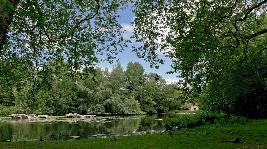 In Hyde Park. Photograph by Elena Perelman