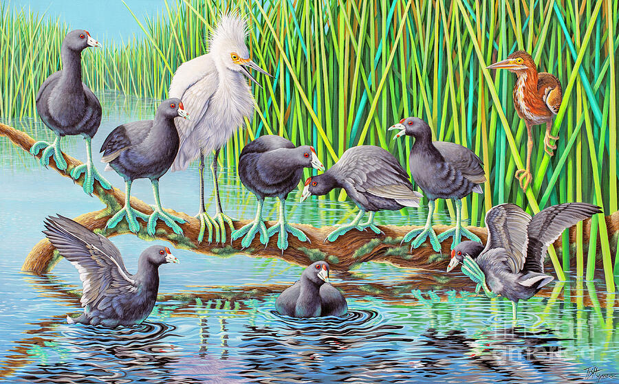 in Kahoots with Coots Painting by Tish Wynne