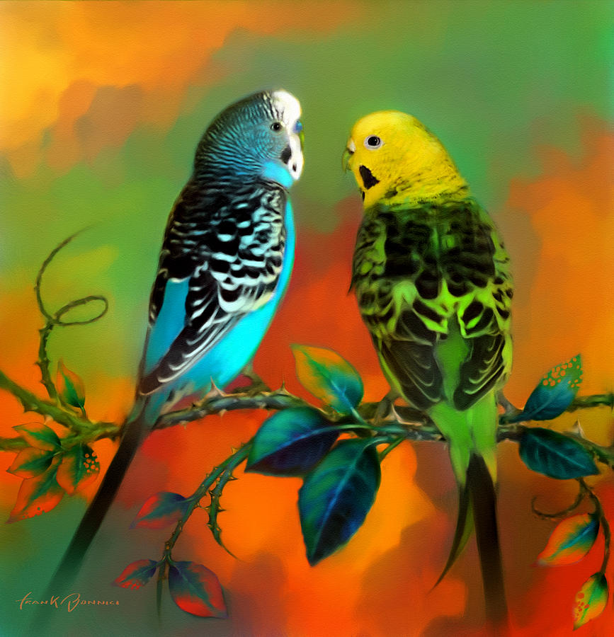 paintings of budgies