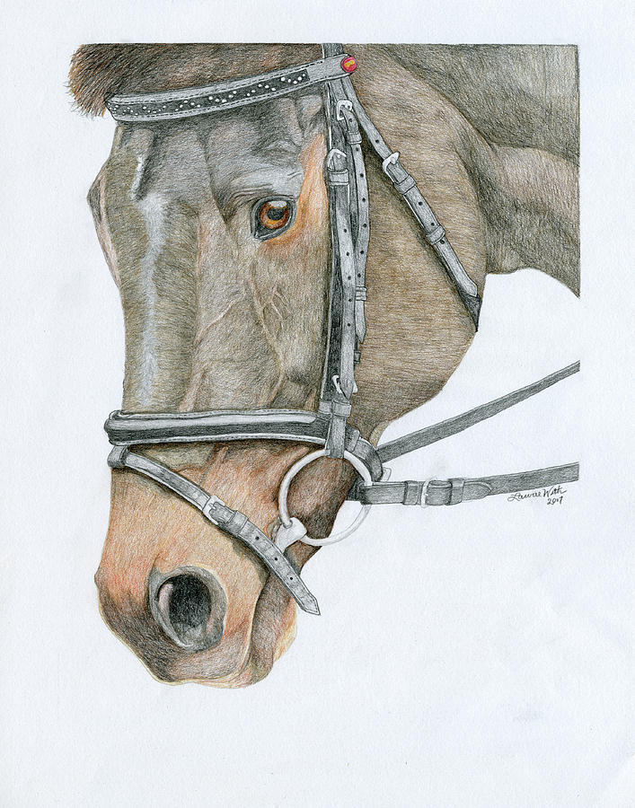 Horse Drawing - In memory of... by Laurie With