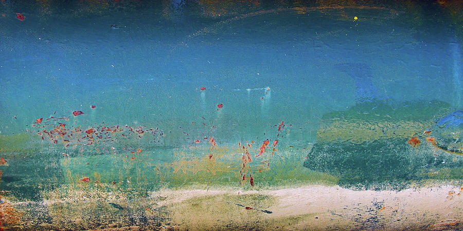 Great Barrier Reef Photograph - In Memory of The Great Barrier Reef by Rainer Stark Great Barrier Reef Photograph - In Memory of The Great Barrier Reef by Rainer Stark