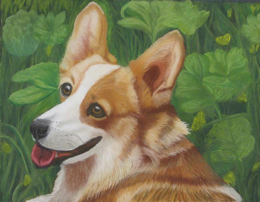 Animal Pastel - in memory of Zoey by Molly Gochenour