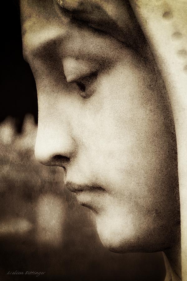 In Mourning Sepia Photograph by Melissa Bittinger