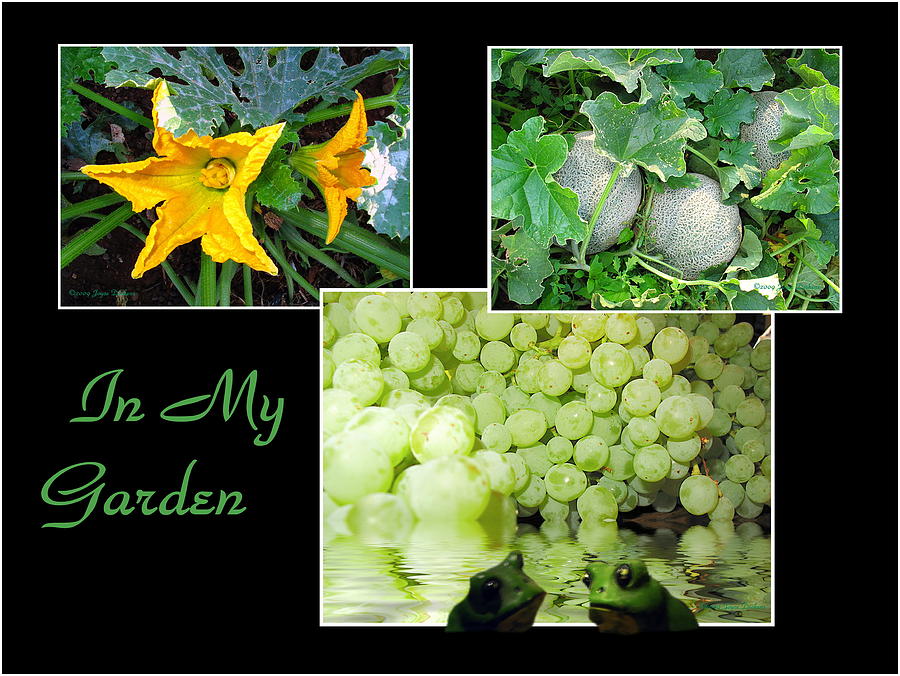 In My Garden - 2009 Photograph by Joyce Dickens