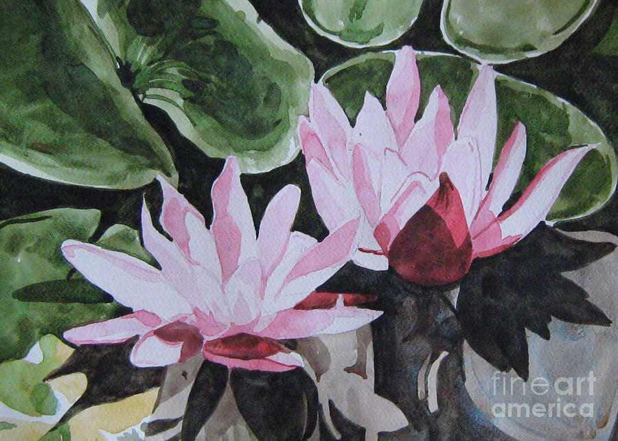 Water Lilly Painting - In pond by Akhilkrishna Jayanth