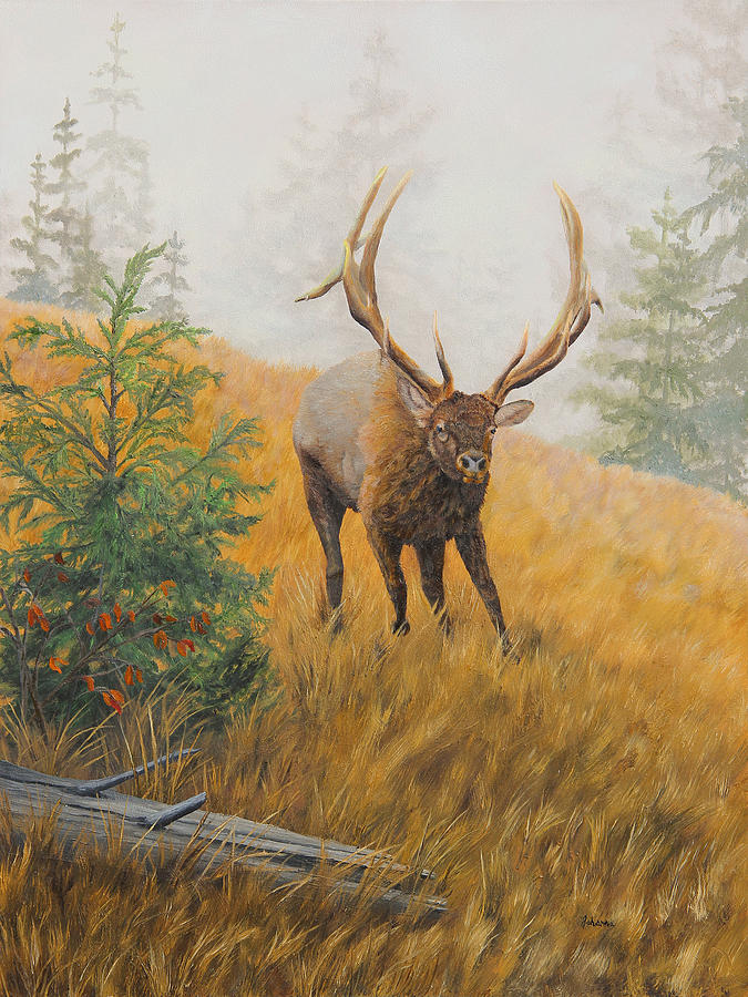In Pursuit - Elk Painting by Johanna Lerwick