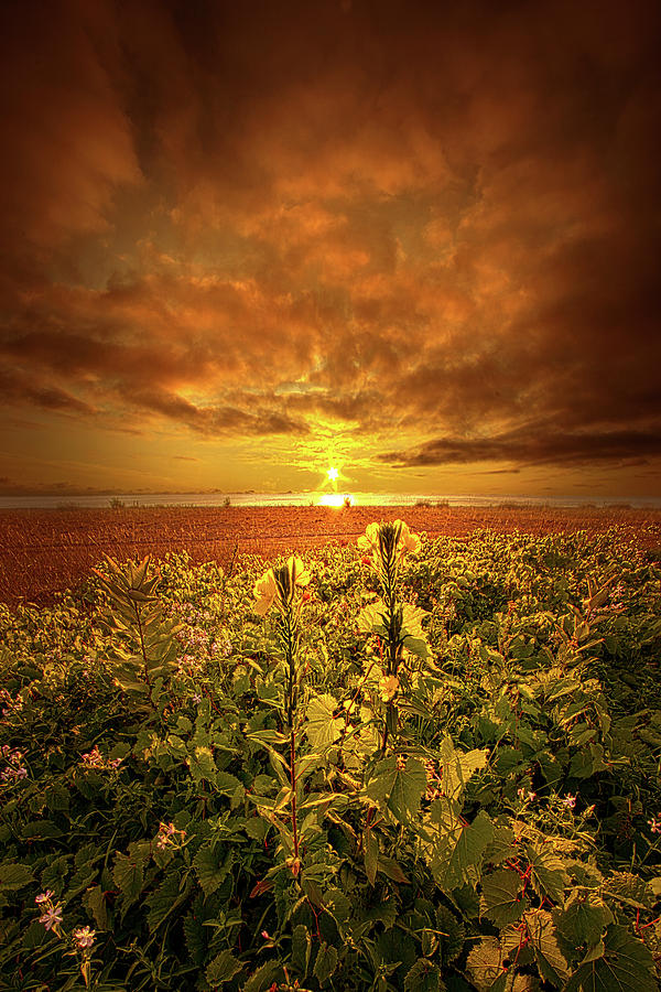 Sunset Photograph - In Remembrance by Phil Koch