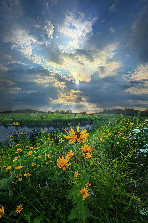 In Restless Dreams I Walk Alone Photograph by Phil Koch