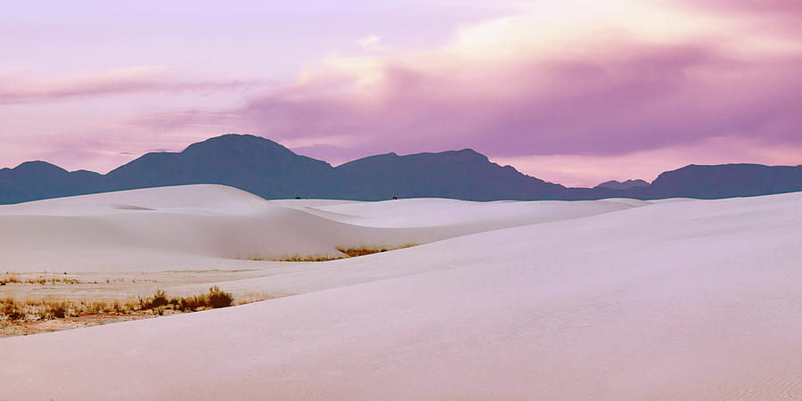 In Rose - White Sands Morning - 3 Photograph by Nikolyn McDonald