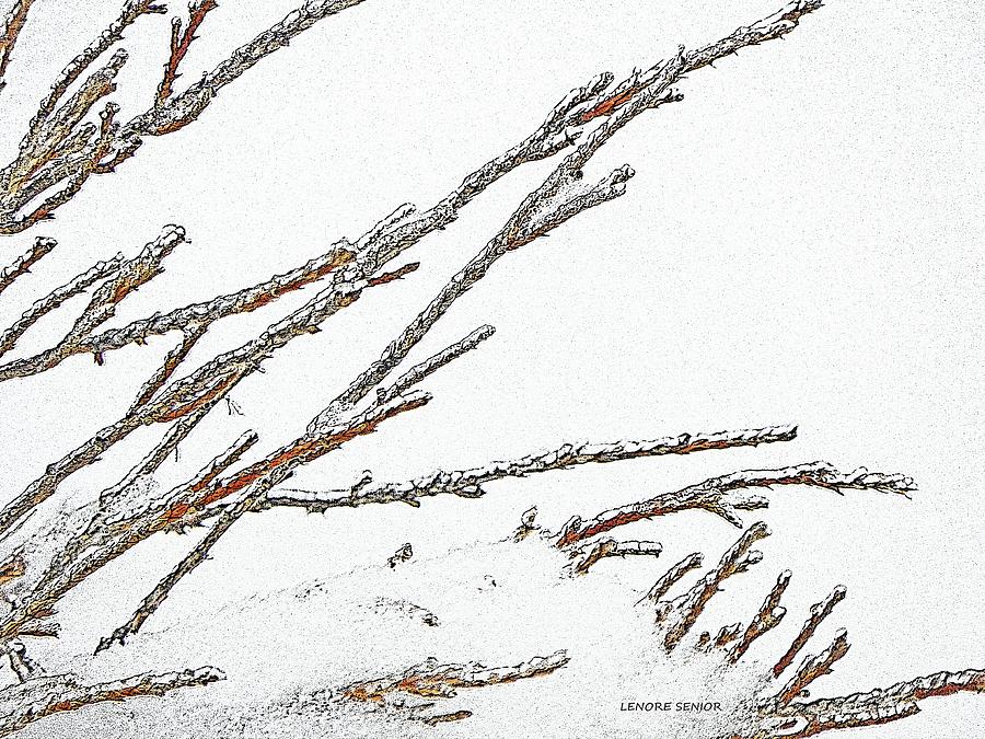 Abstract Photograph - In Snow by Lenore Senior