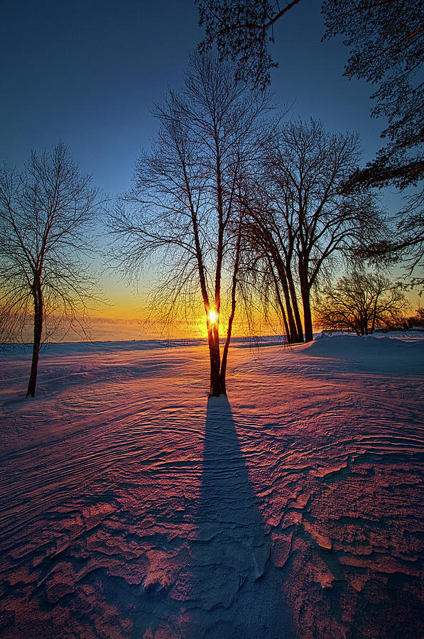 In That Still Place Photograph by Phil Koch