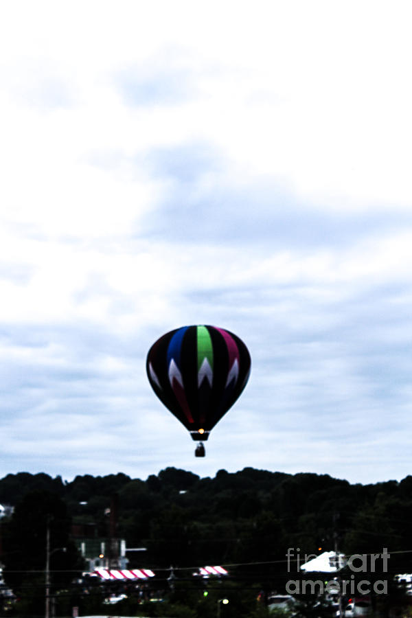 Nature Photograph - In the Air by Victory Designs