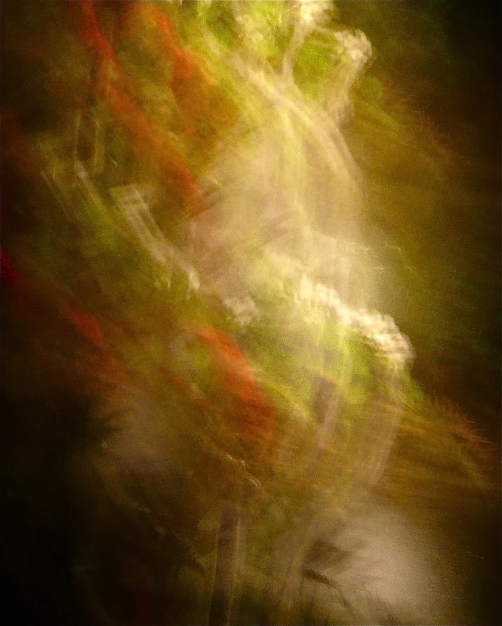 Abstract Photograph - In the Beginning by Sean Griffin