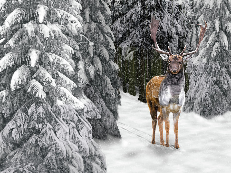 In the Bleak Midwinter by Nigel Follett In the Bleak Midwinter by Nigel Follett