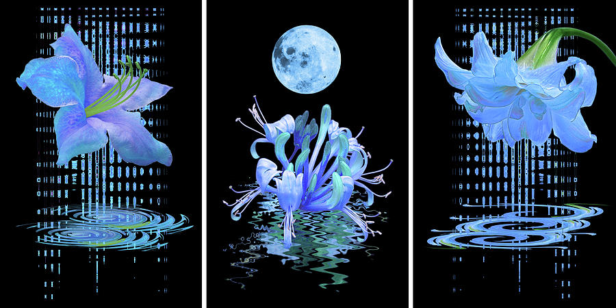 In The Cool Of The Night Blue Floral Abstract Triptych Photograph by Gill Billington