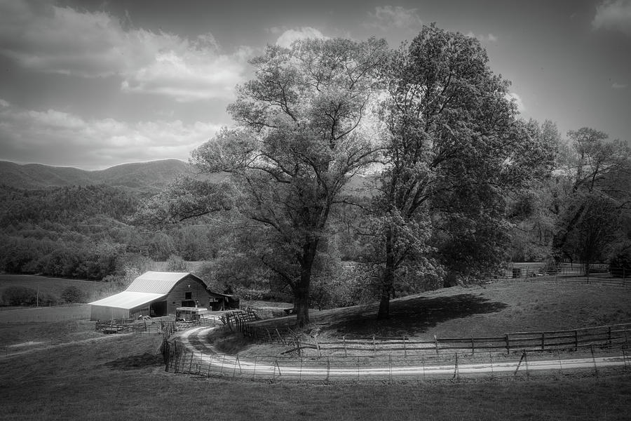 In the Country in Black and White Photograph by Debra and Dave Vanderlaan