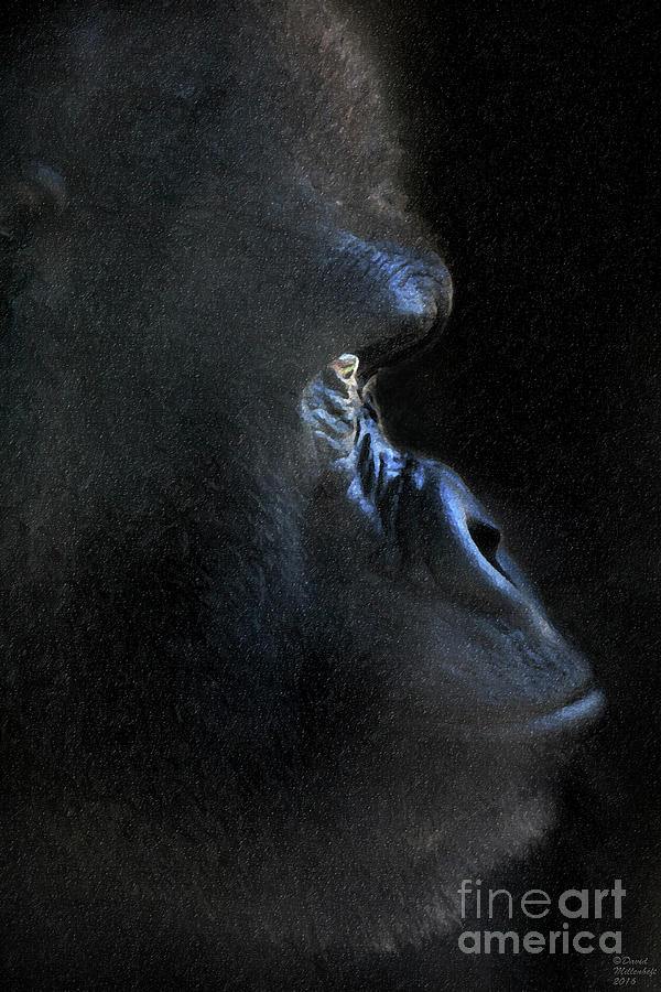 Gorilla In the Dark Mixed Media by David Millenheft