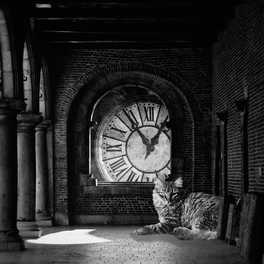 Black And White Photograph - In The Darkest Hour by Studio Yuki