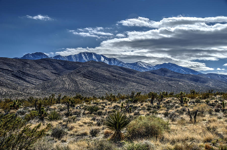 Mountain Photograph - In The Distance by John Dauer