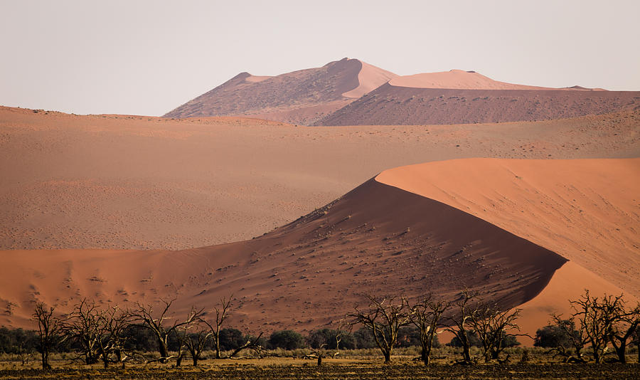 Dunes Photograph - In the distance by Schalk Lombard