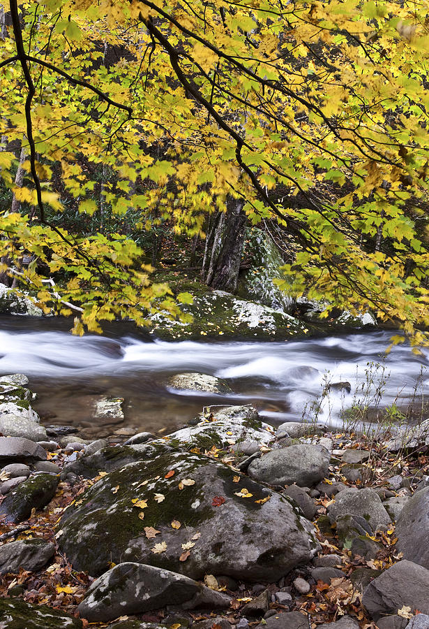 Fall Photograph - In the Distant Fall by Jon Glaser