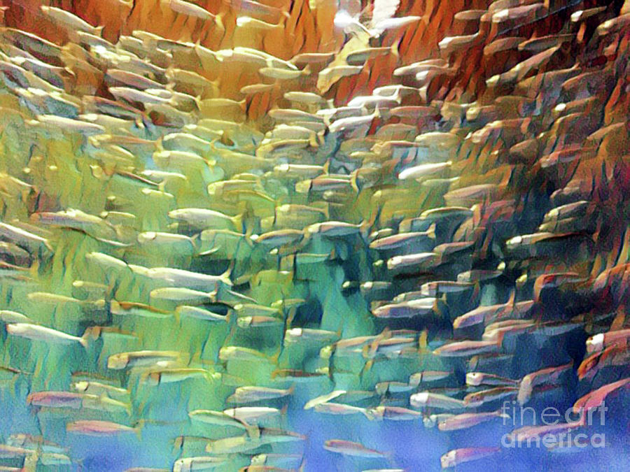 Fish Digital Art - In the Fish Bowl by Jackie MacNair