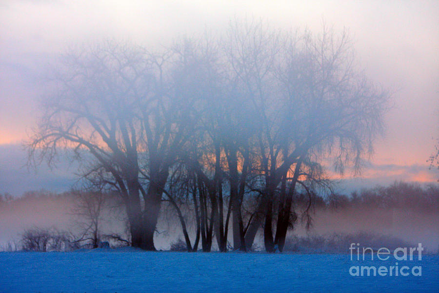 In The Fog At Sunrise Photograph