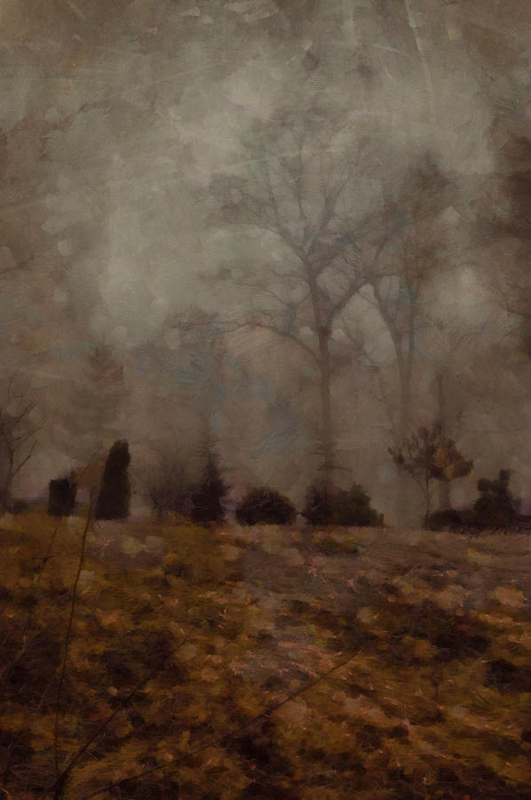 In The Fog On A Wednesday Morning Digital Art By Jim Nooney - Fine Art 