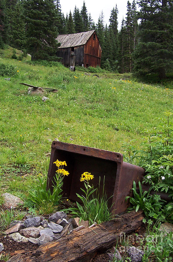 In the Foreground of Abandoned Lodge Photograph by Jennifer Robin