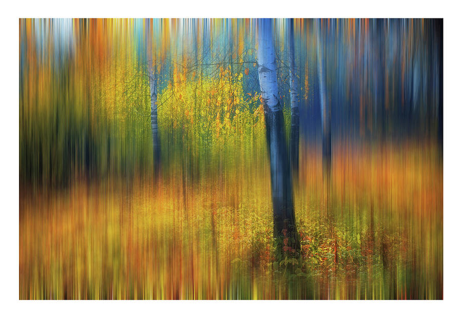 In the Golden Woods. Impressionism. Ltd Edition of only 10 Fine Art Giclee prints Photograph by Jenny Rainbow