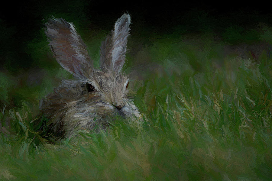 In The Grass Digital Art by Ernest Echols