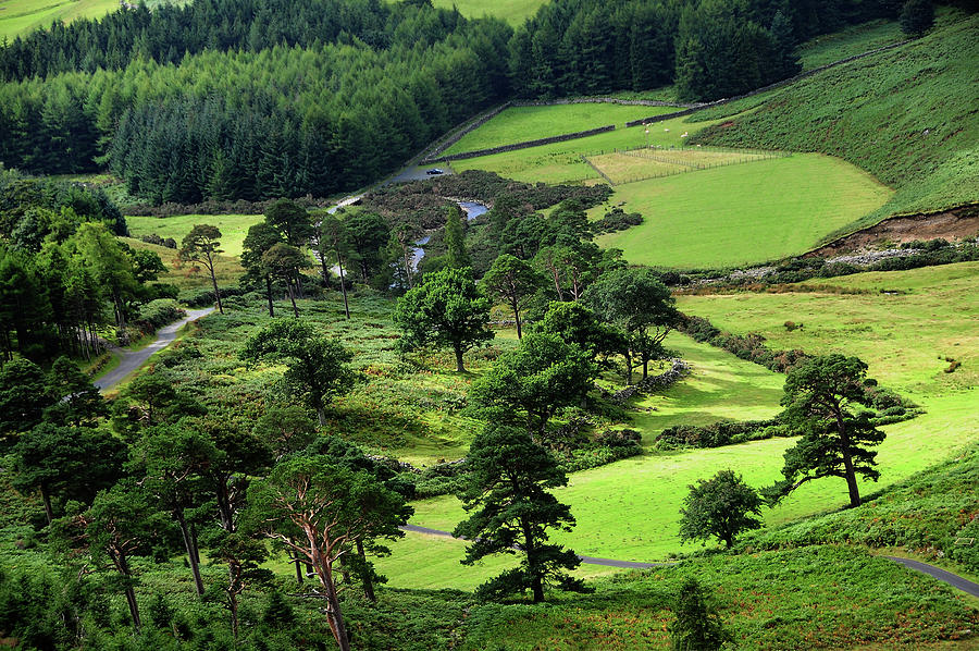 Nature Photograph - In the Heart of Emerald Valley. Wicklow. Ireland by Jenny Rainbow