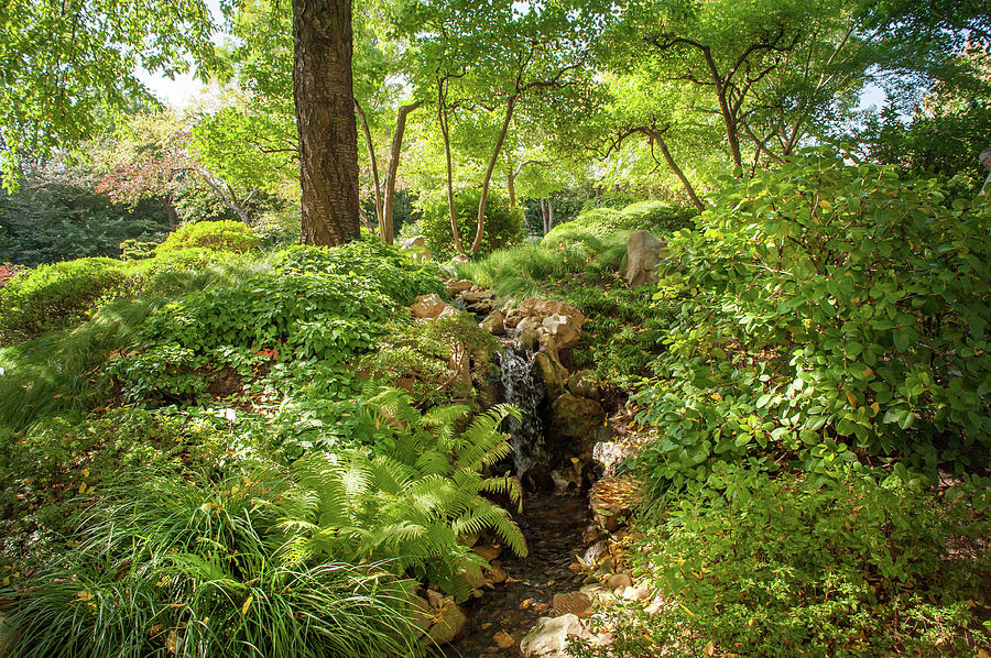 In the Heart of Japanese Garden Photograph by Jenny Rainbow