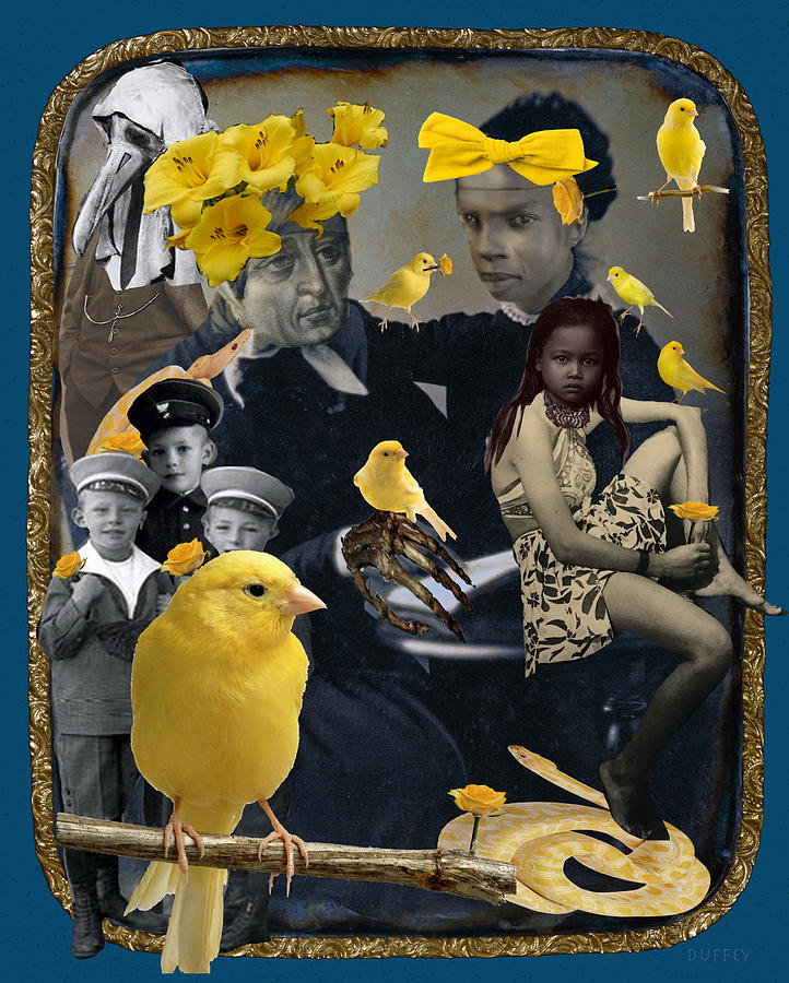 In The House Of The Canaries Digital Art by Doug Duffey