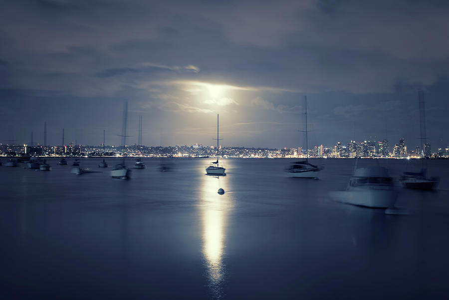 Caught In The Light San Diego Harbor Photograph by Joseph S Giacalone