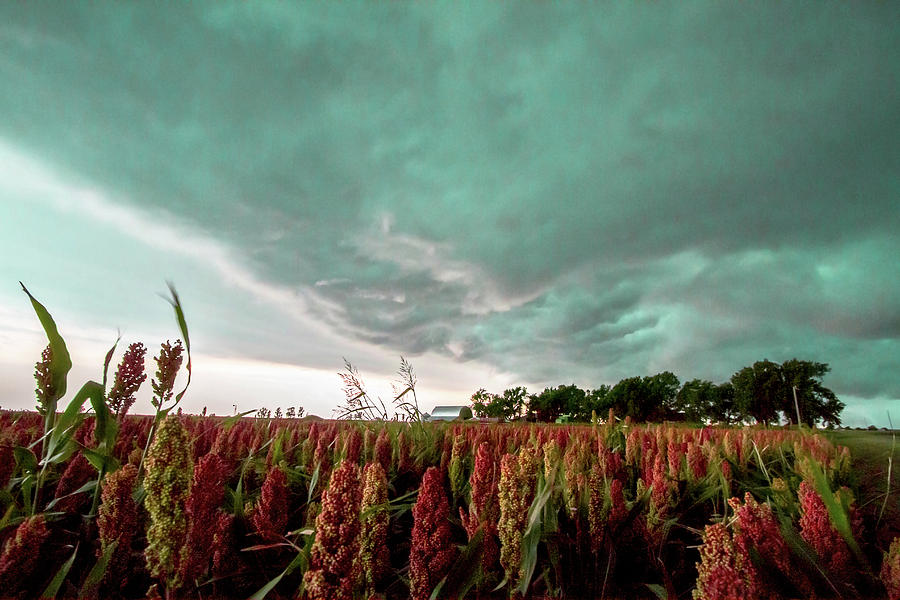 In The Maize - Storm Passes Over Farm In Oklahoma Photograph