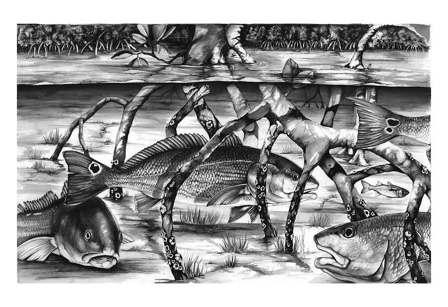 Redfish Mixed Media - In the Mangroves by Jacqueline Endlich Redfish Mixed Media - In the Mangroves by Jacqueline Endlich