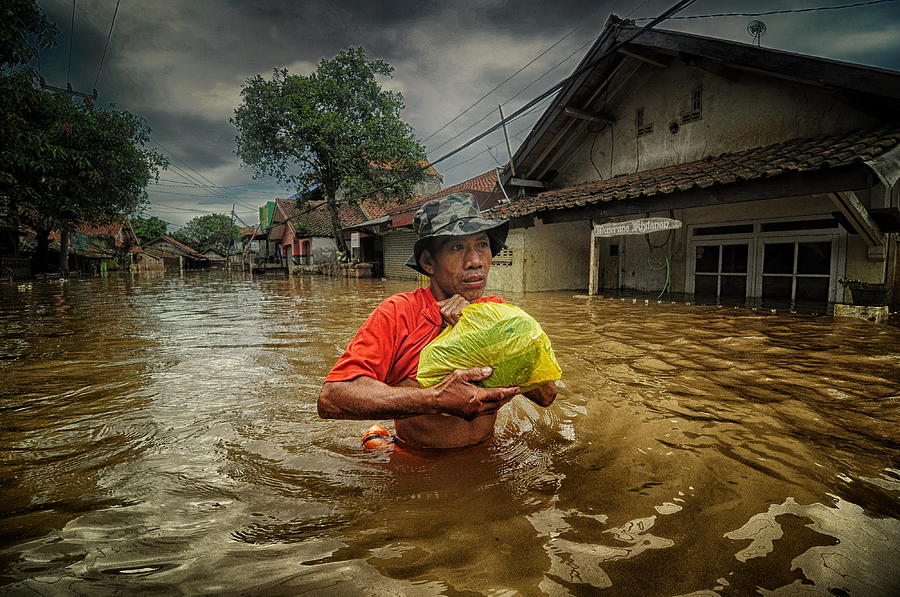 Tree Photograph - In The Middle Of The Flood by Ujang Ubed