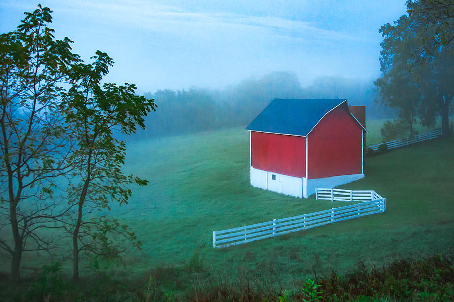 In the Midst of the Mist Photograph by Todd Klassy